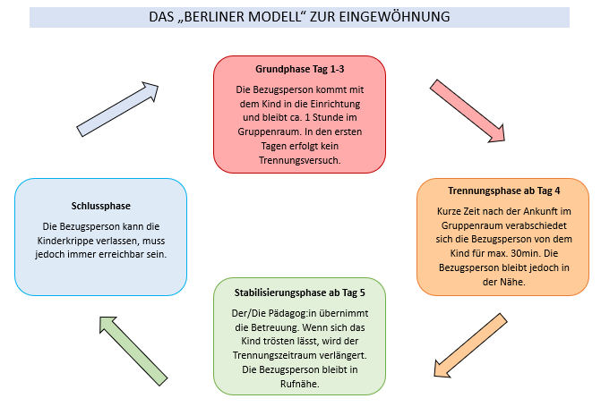 Diagramm des Berliner Eingewöhnungsmodells